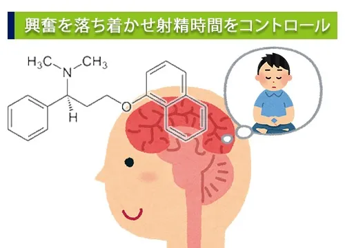 興奮を落ち着かせ射精時間をコントロール