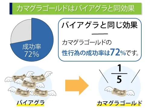 カマグラゴールドはバイアグラと同じ効果