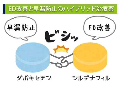 ED改善と早漏防振のハイブリッド治療薬