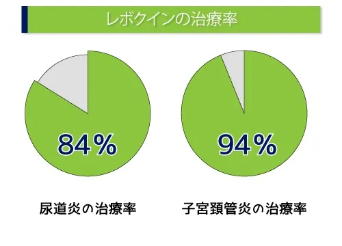 レボクインの治療率