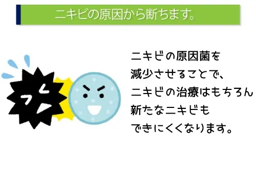 ニキビの原因から断ちます。