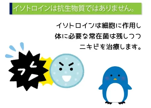 イソトロインは抗生物質ではありません。