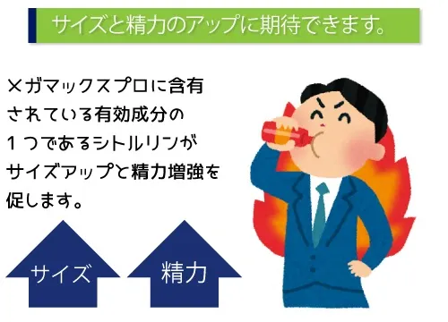 サイズと精力のアップに期待できます。