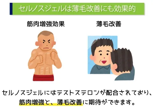 セルノスジェルは薄毛改善にも効果的