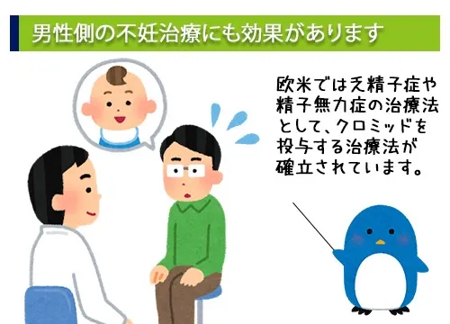男性側の不妊治療にも効果があります