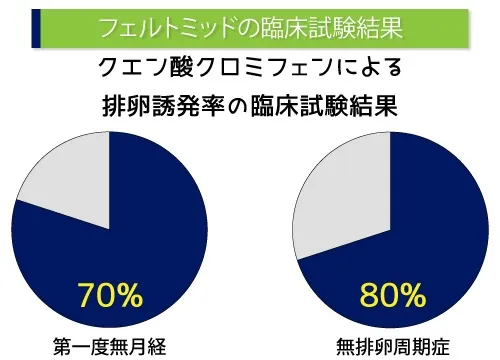 フェルトミッドの臨床試験結果
