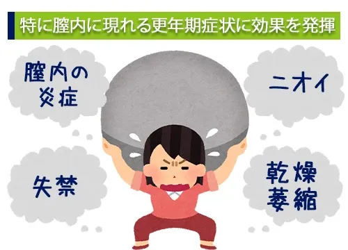 特に膣内に現れる更年期症状に効果を発揮