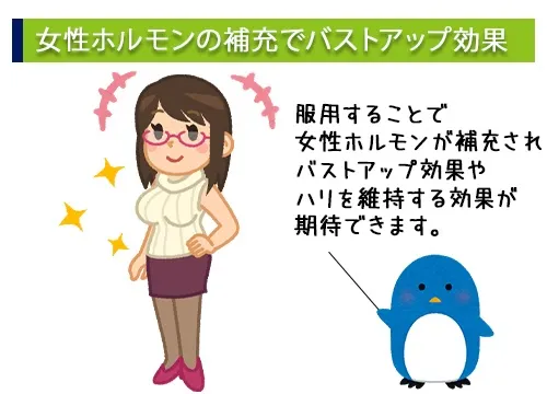 女性ホルモンの補充でバストアップ効果