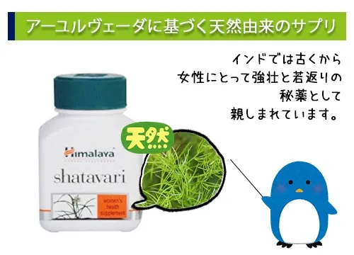 アーユルヴェーダに基づく天然由来のサプリ