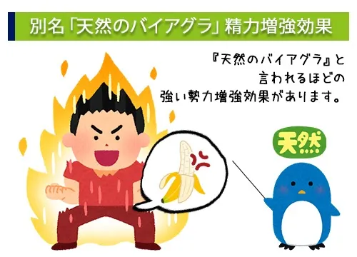 別名「天然のバイアグラ」勢力増強効果