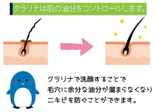 クラリナは肌の油分をコントロールします。