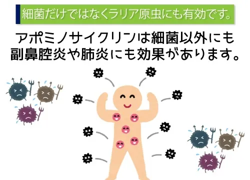 細菌だけではなくラリア原虫にも有効です。