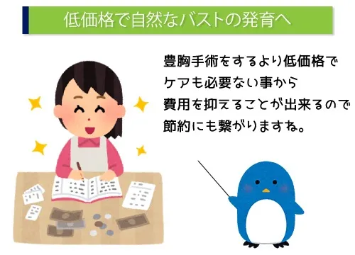 低価格で自然なバストの発育へ