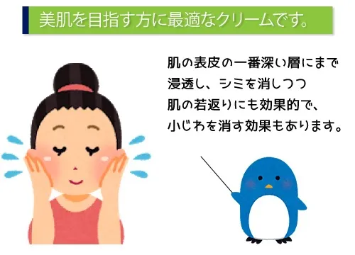 美肌を目指す方に最適なクリームです。