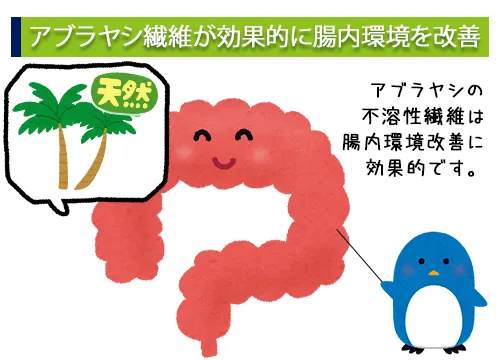 アブラヤシ繊維が効果的に腸内環境を改善