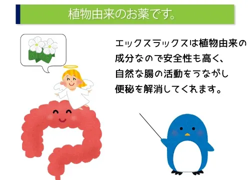 植物由来のお薬です。