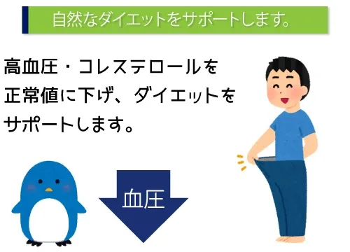 自然なダイエットをサポートします。