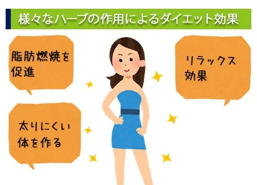 様々なハーブの作用によるダイエット効果