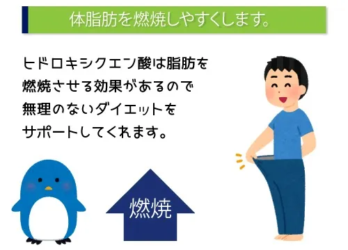 体脂肪を燃焼しやすくします。