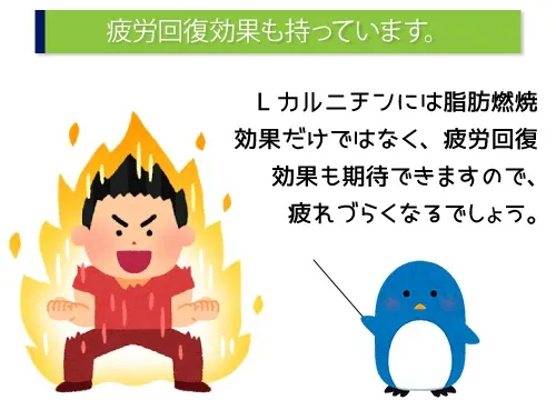 疲労回復効果を持っています。