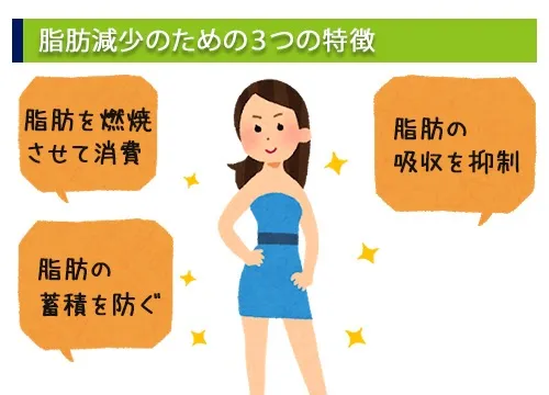 脂肪減少の為の3つの特徴