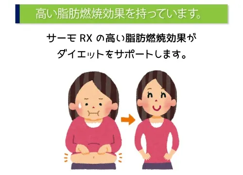 高い脂肪燃焼効果を持っています。