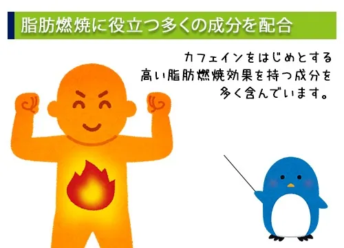 脂肪燃焼に役立つ多くの成分を配合