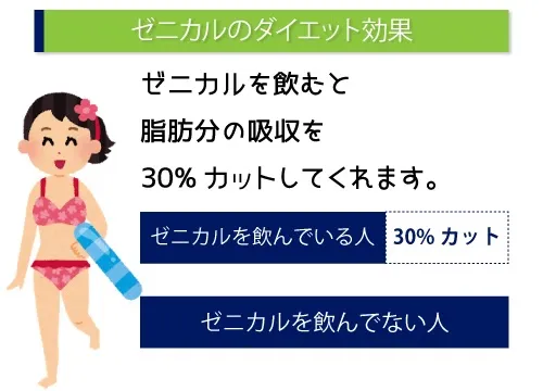 ゼニカルのダイエット効果