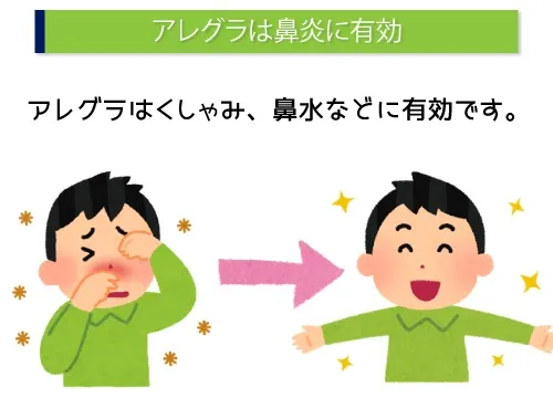 アレグラは鼻炎に有効
