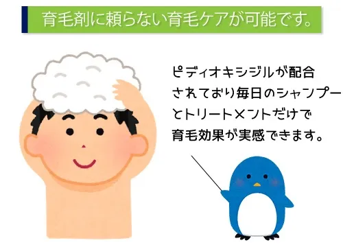 育毛剤に頼らない育毛ケアが可能です。