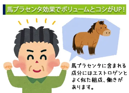 馬プラセンタ効果でボリュームとコシがUP!