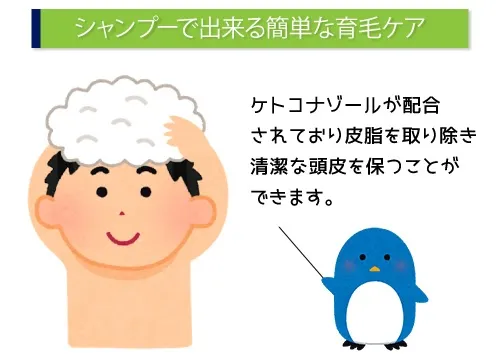 シャンプーで出来る簡単な育毛ケア