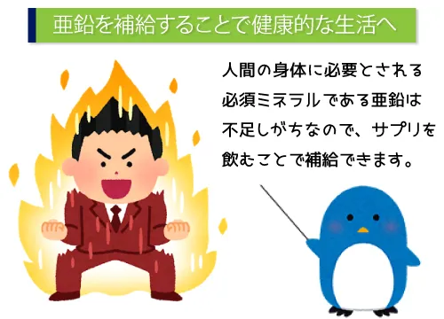 亜鉛を補給することで健康的な生活へ