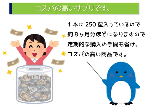 コスパの高いサプリです。