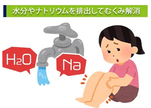水分やナトリウムを排出してむくみ解消