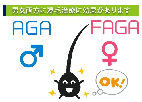 男女両方に薄毛治療に効果があります