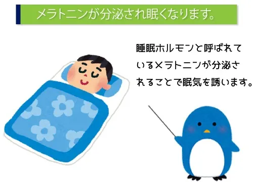 メラトニンが分泌され眠くなります。