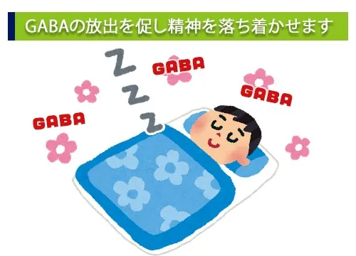 GABAの放出を促し精神を落ち着かせます