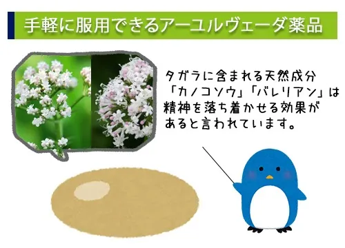 手軽に服用できるアーユルヴェーダ薬品