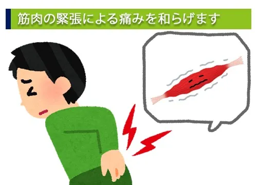 筋肉の緊張による痛みを和らげます