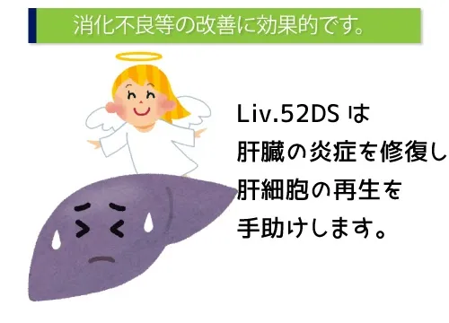 消化不良等の改善に効果的です。