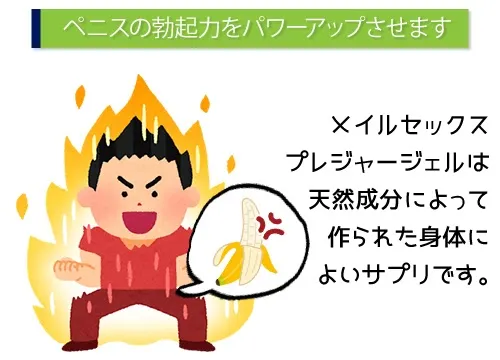 ペニスの勃起力をパワーアップさせます