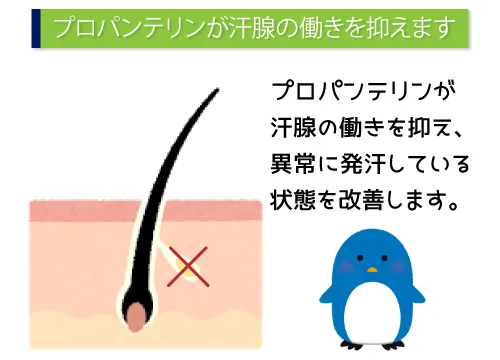 プロパンテリンが汗腺の動きを抑えます。