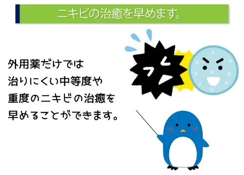 ニキビの治癒を早めます。