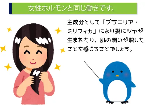 プラエリア・ミリフィカは女性ホルモンと同じ働き