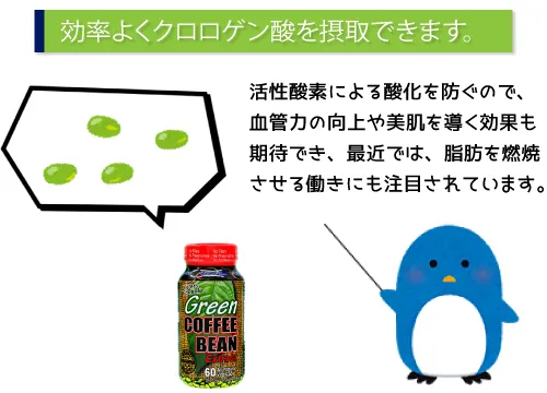 効率よくクロロゲン酸を接種できます。