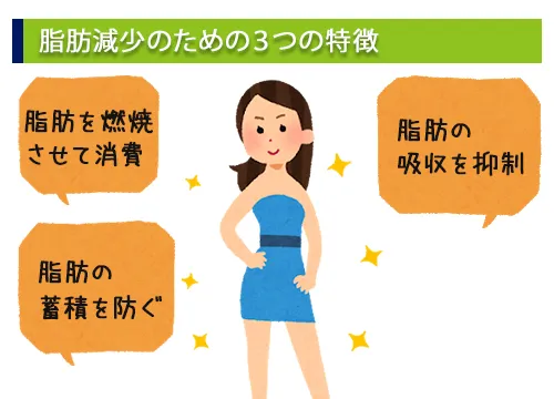 脂肪減少の為の3つの特徴