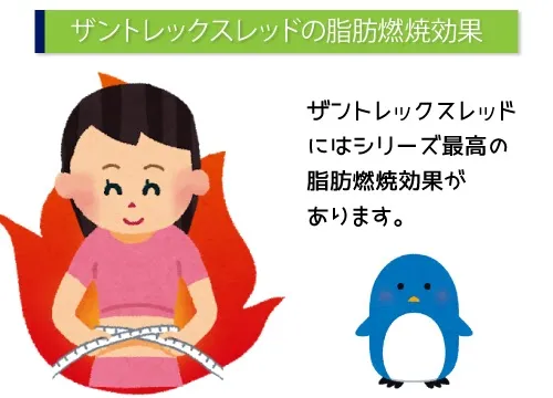 ザントレックスレッドの脂肪燃焼効果