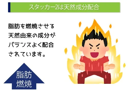 スタッカー2は天然成分配合