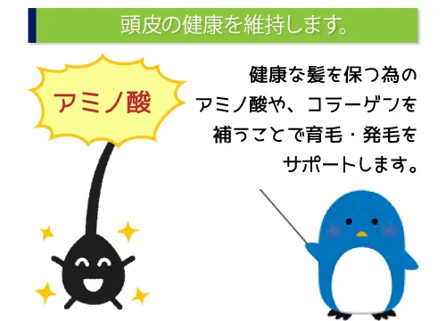 頭皮の健康を維持します。